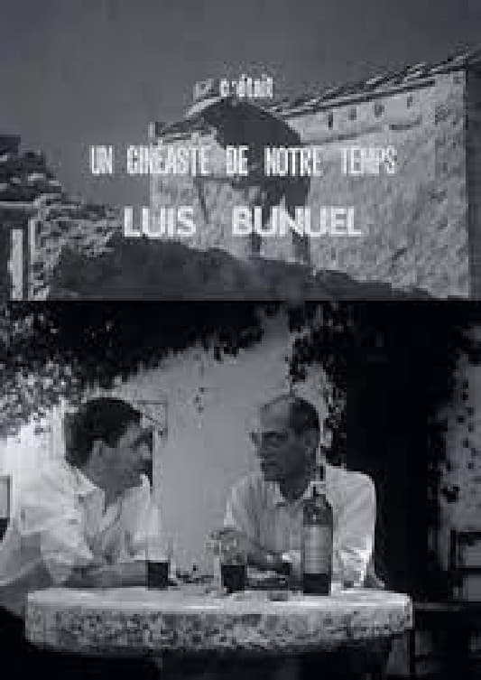 Постер Luis Buñuel : Un cinéaste de notre temps